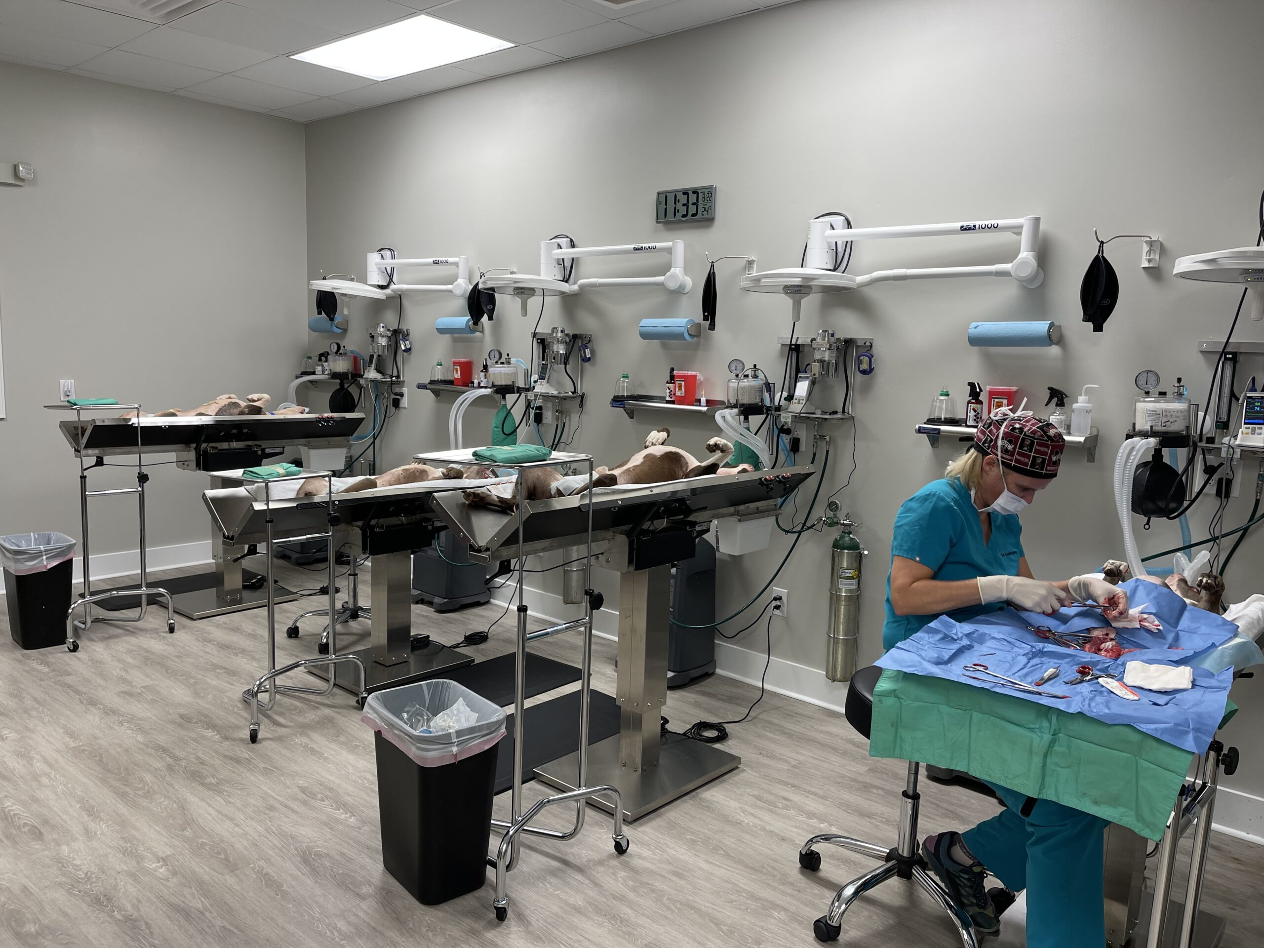 The Surgery Center<br/> at Safe Harbor