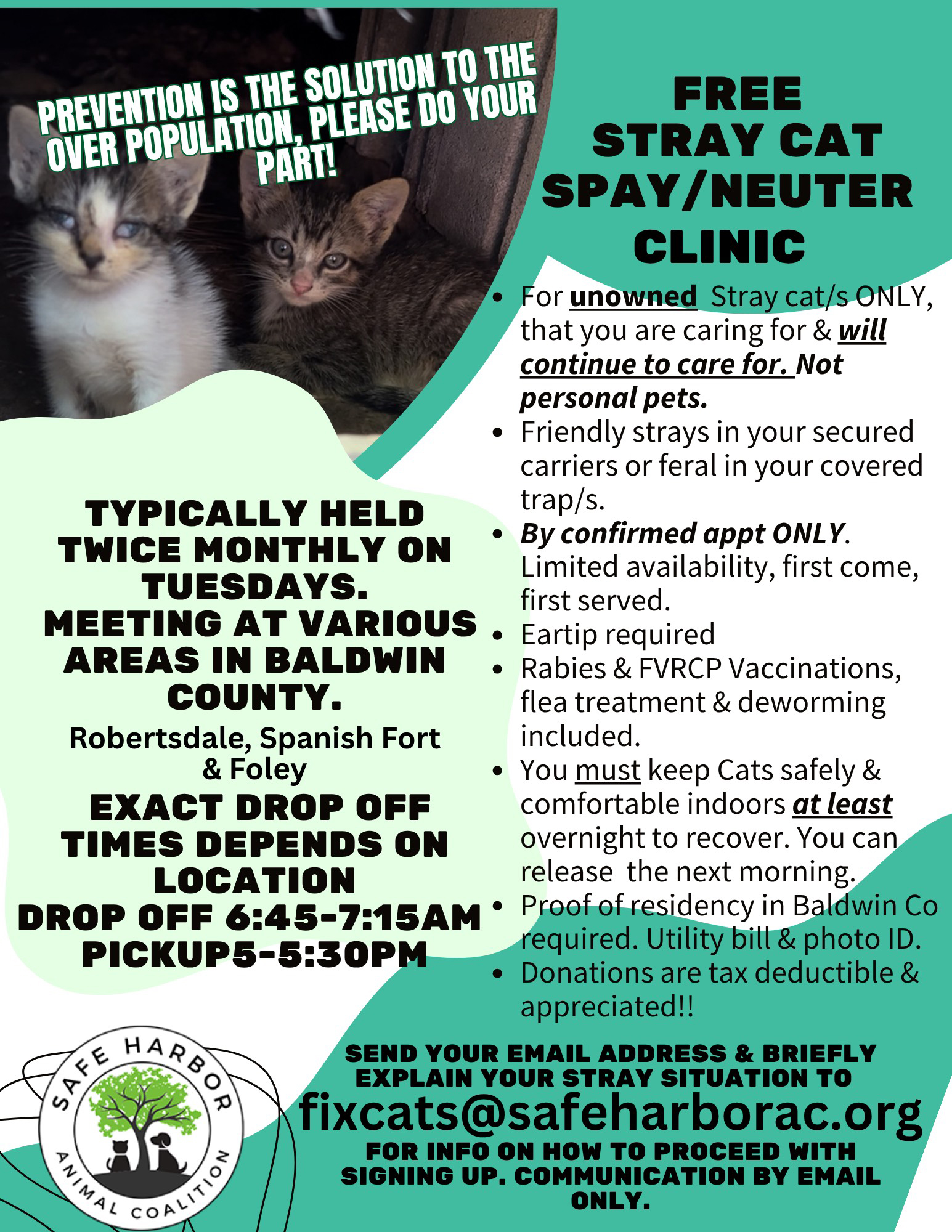 Spay Day